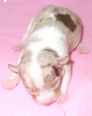Enlarge photo 14