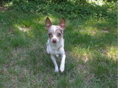 Enlarge photo 3