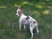 Enlarge photo 2