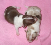 Enlarge photo 15