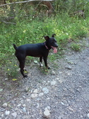 Enlarge photo 14
