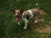 Enlarge photo 23
