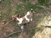 Enlarge photo 21