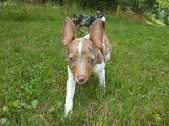 Enlarge photo 10