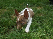 Enlarge photo 20