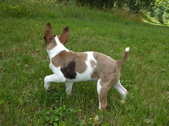 Enlarge photo 19