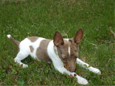Enlarge photo 18