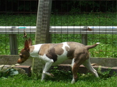 Enlarge photo 8