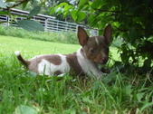 Enlarge photo 15