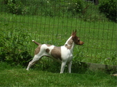 Enlarge photo 5