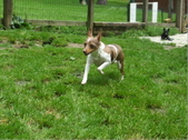 Enlarge photo 4