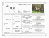 Enlarge photo 28
