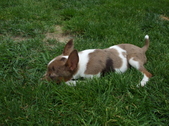 Enlarge photo 22