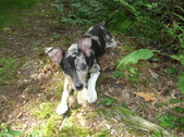 Enlarge photo 22