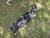 Enlarge photo 24