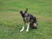 Enlarge photo 18
