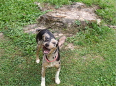Enlarge photo 20
