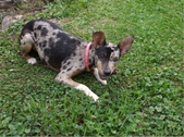 Enlarge photo 21