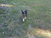 Enlarge photo 13