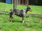 Enlarge photo 7