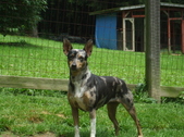 Enlarge photo 6
