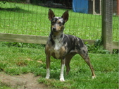 Enlarge photo 4