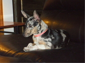 Enlarge photo 15