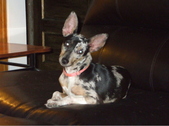 Enlarge photo 14