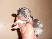 Enlarge photo 32