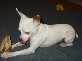 Enlarge photo 13