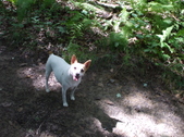 Enlarge photo 2