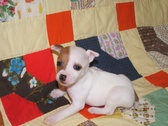 Enlarge photo 10