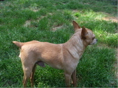 Enlarge photo 4