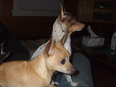 Enlarge photo 6