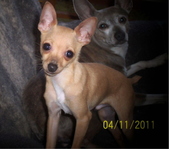 Enlarge photo 7