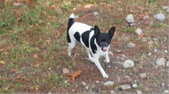 Enlarge photo 2