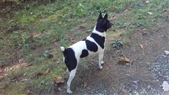 Enlarge photo 5