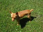 Enlarge photo 4
