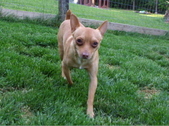 Enlarge photo 5