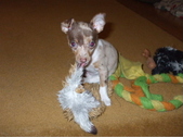 Enlarge photo 12