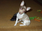 Enlarge photo 10