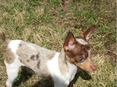 Enlarge photo 5