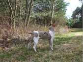 Enlarge photo 7