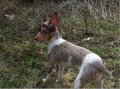 Enlarge photo 6