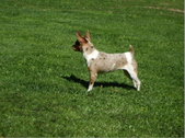 Enlarge photo 3