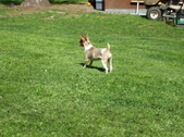 Enlarge photo 4