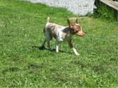 Enlarge photo 2