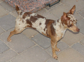 Enlarge photo 22