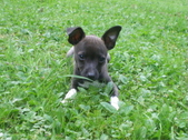 Enlarge photo 21