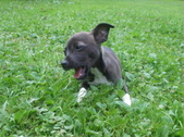 Enlarge photo 22